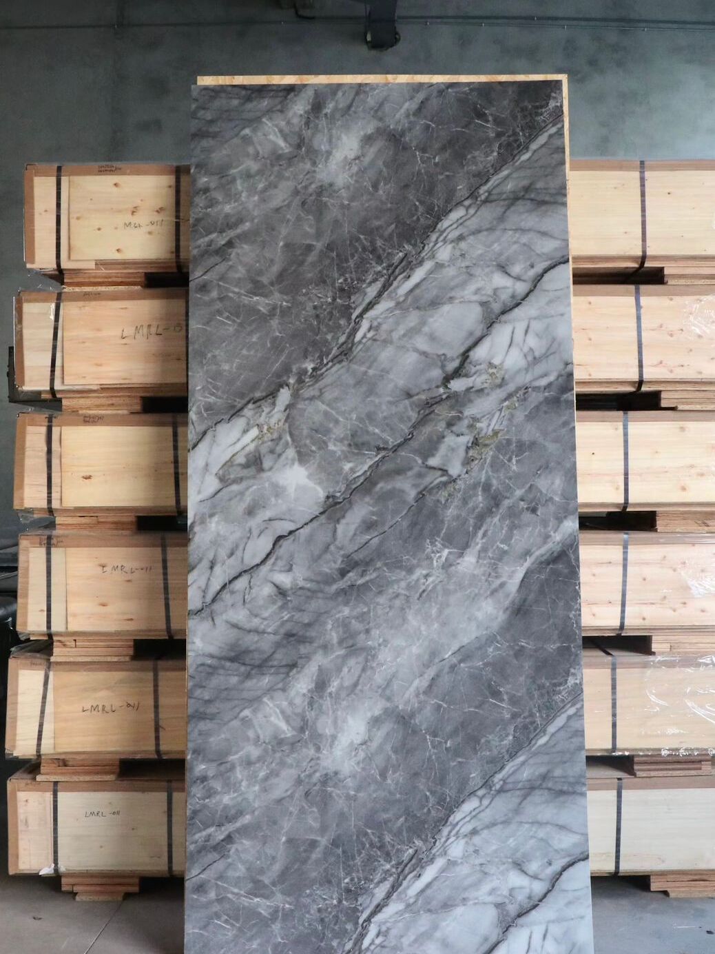 Dekorativni panel - Future