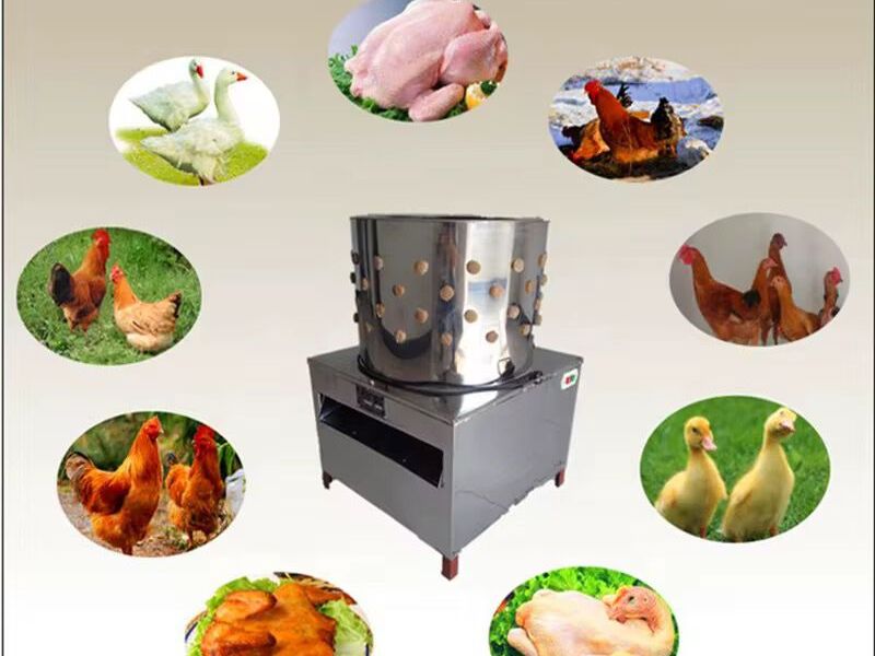 Električni stroj za čerupanje peradi