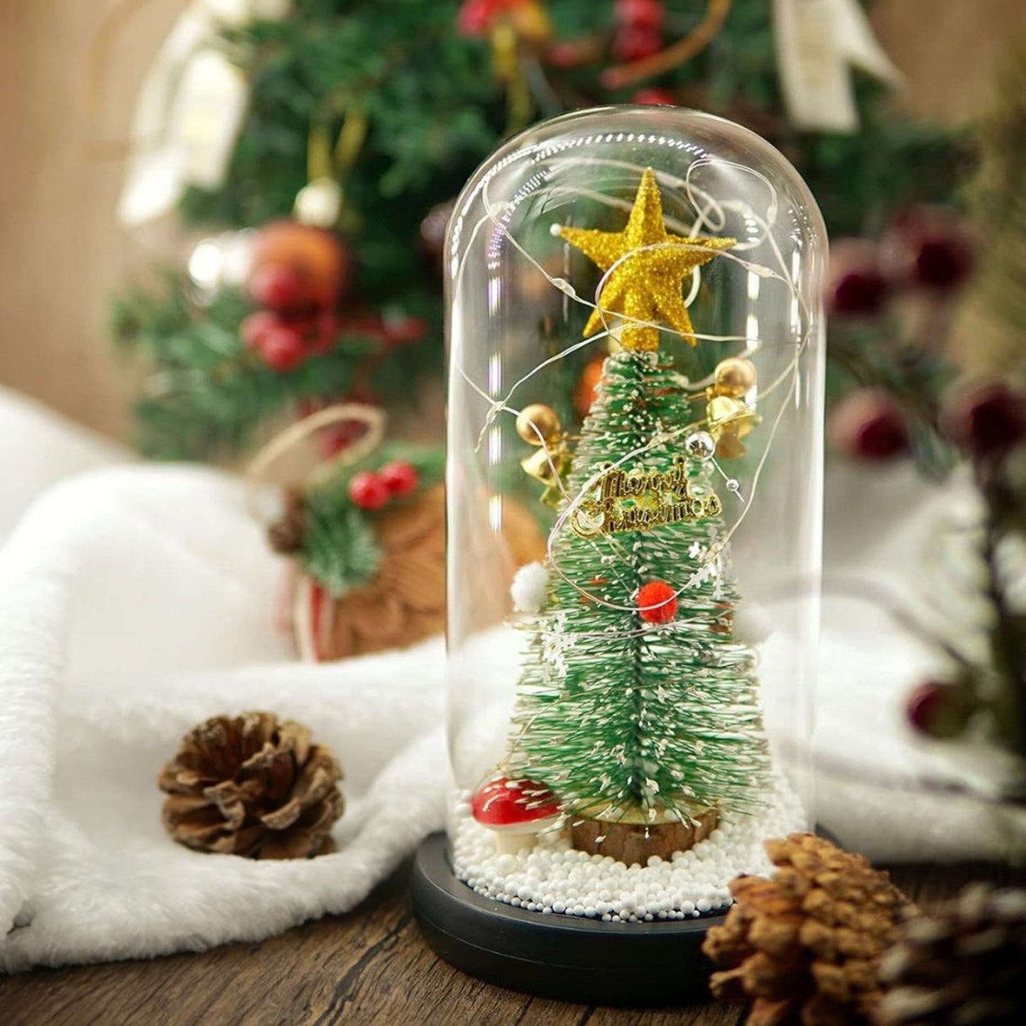 ĽADOVÁ BOROVICA V DOME 1+1 GRATIS